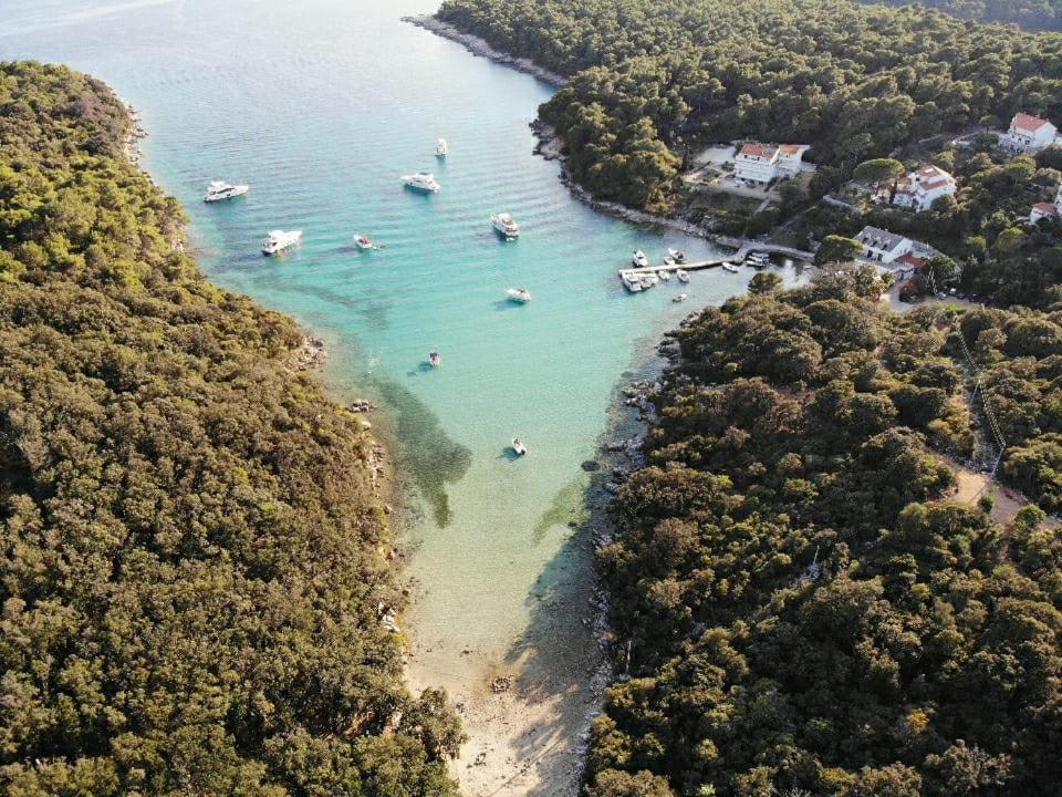 Milijana Apartments Rab Rab Town Exteriér fotografie