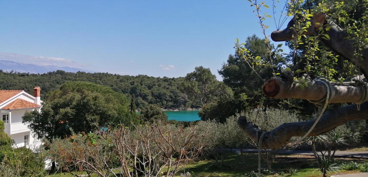 Milijana Apartments Rab Rab Town Exteriér fotografie