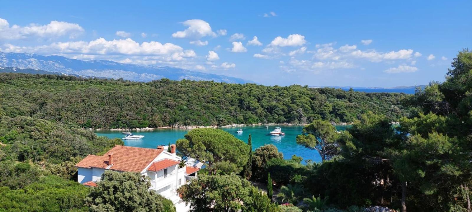 Milijana Apartments Rab Rab Town Pokoj fotografie