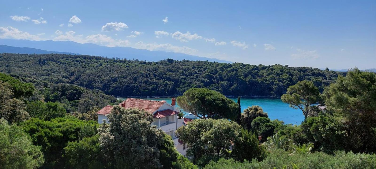 Milijana Apartments Rab Rab Town Pokoj fotografie